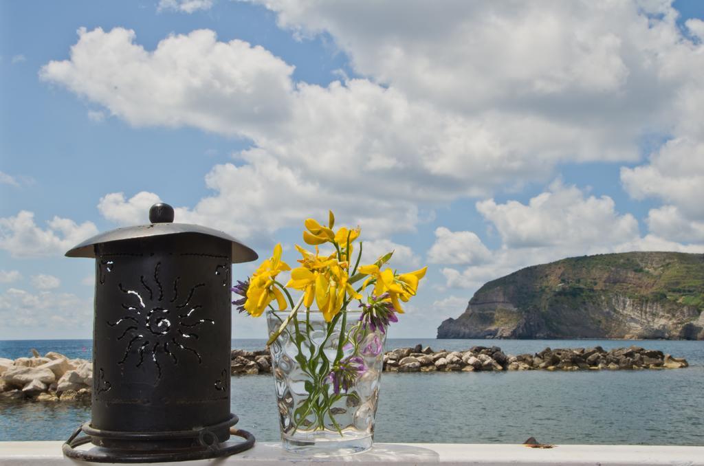 Appartamenti Le Pleiadi - Sant'Angelo D'Ischia Zimmer foto